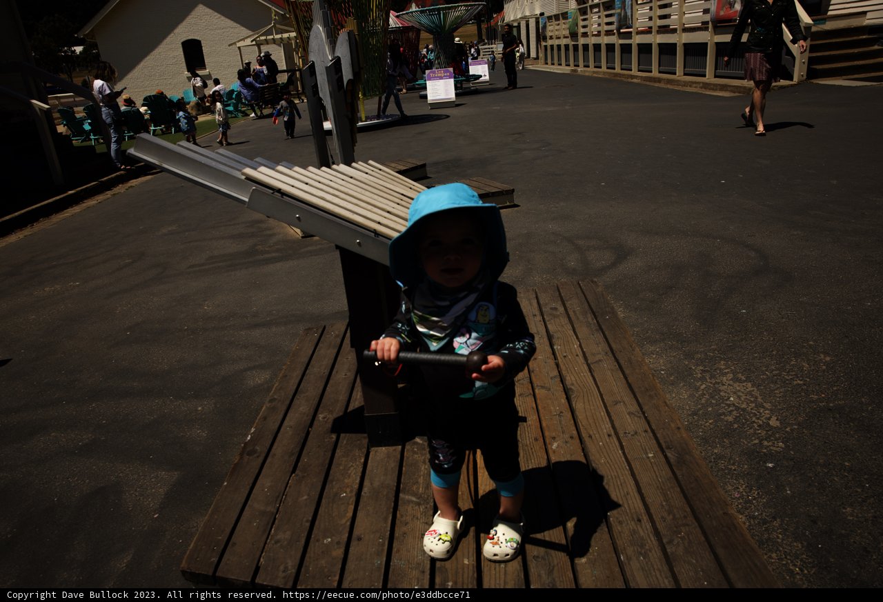 A Tiny Explorer's Day at the Bay Area Discovery Museum