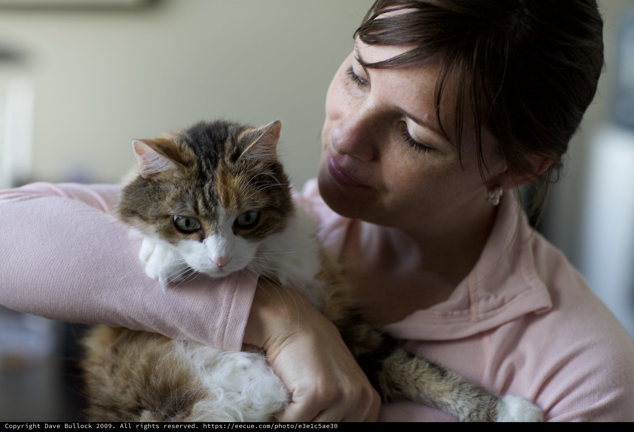 Woman Tenderly Holds Her Calico Cat Indoors