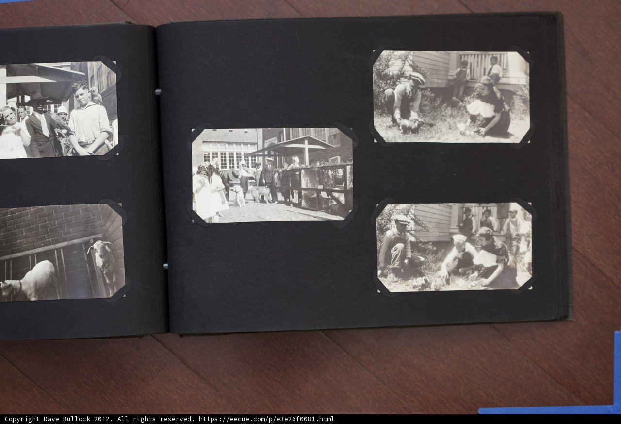 A Walk Down Memory Lane: The 2012 Bullock Curtis Family Photo Album