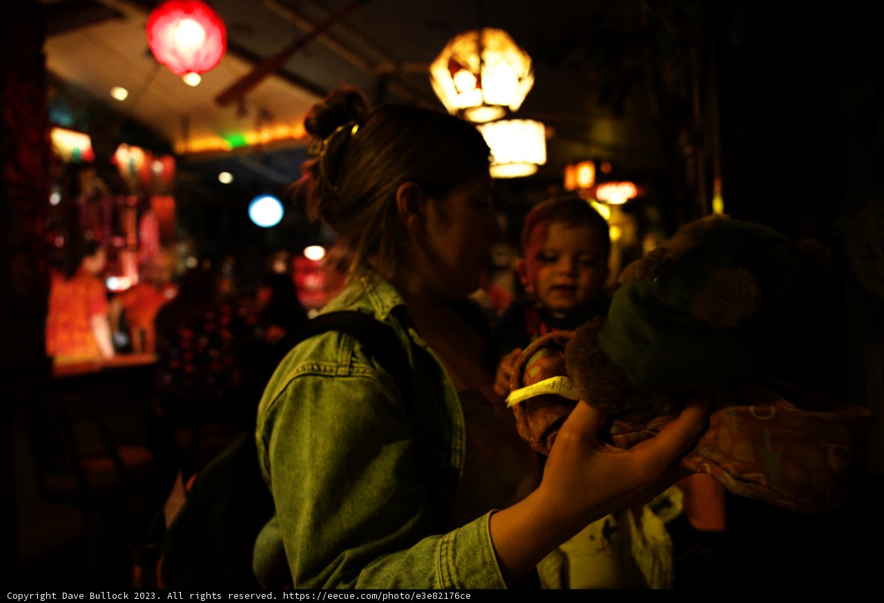Magical Moments at Disneyland