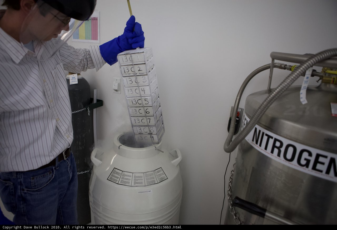 The Lab Coat and the Container