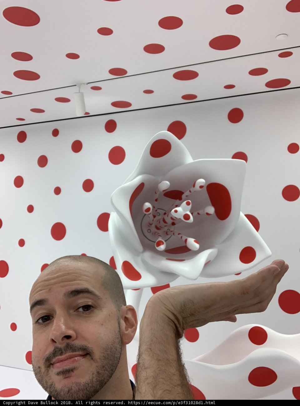 Polka Dot Portrait