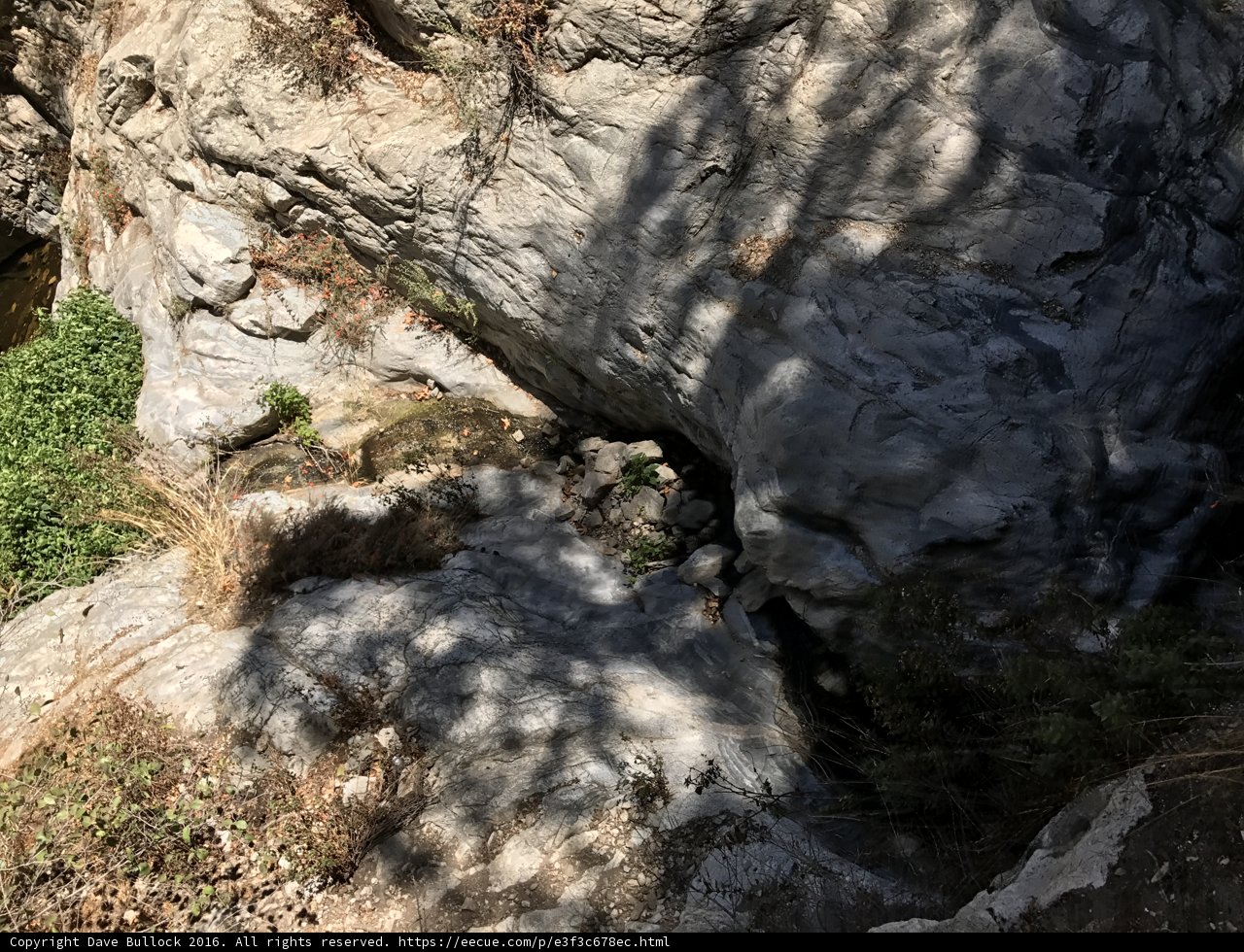 Hidden Gem Amongst the Rocks