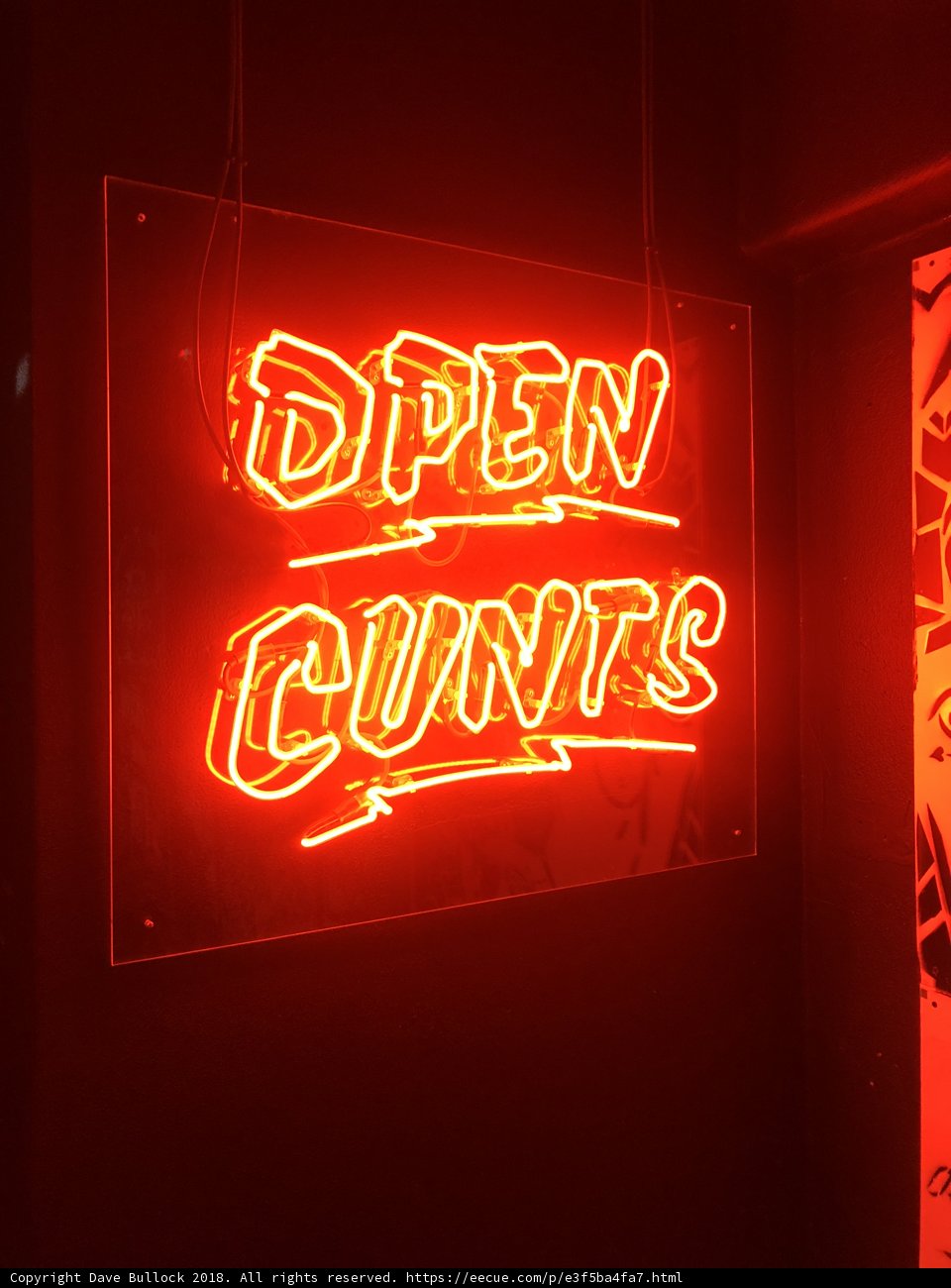 Neon Sign for Open Cunts