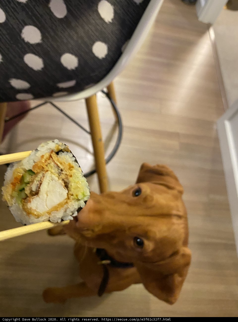 Canine Cuisine