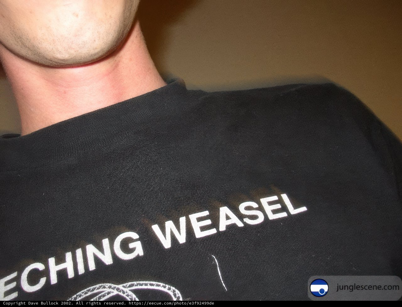 Teaching Weasel T-Shirt