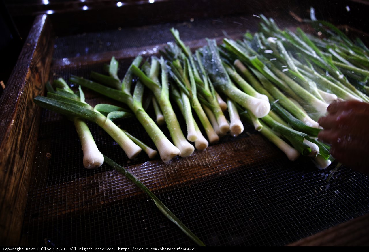 Embracing Sustainable Agriculture - Washing Green Onions