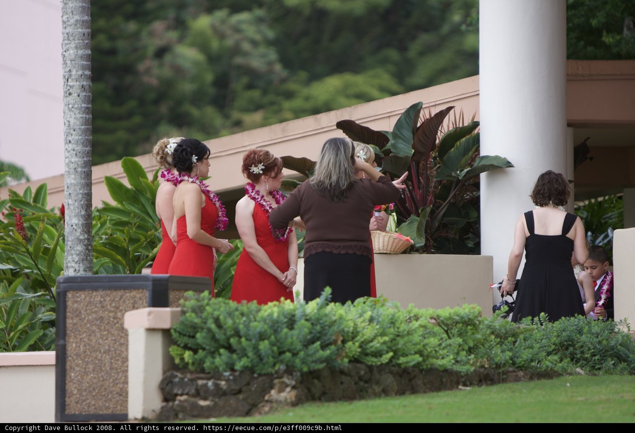 Red Dresses and Flower Bouquets