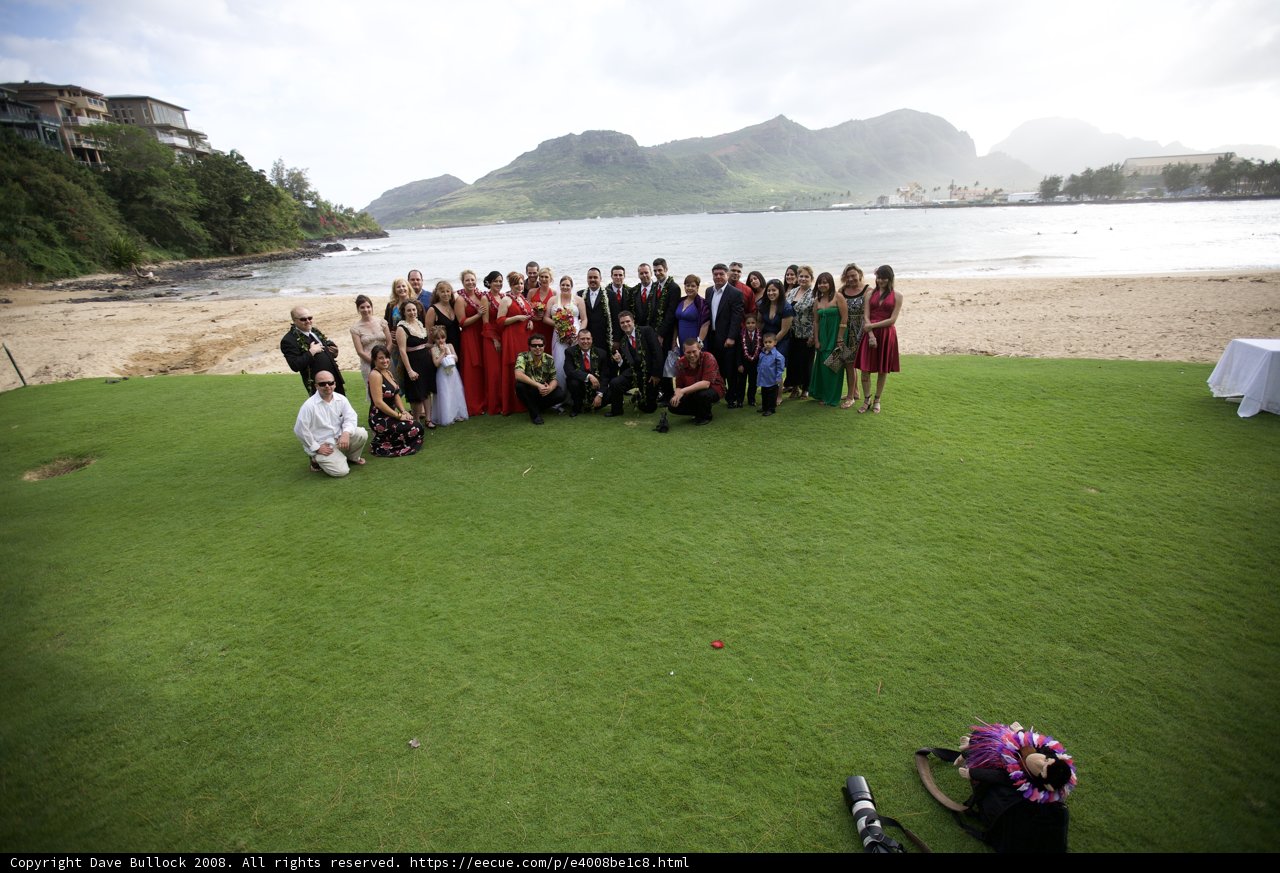 Wedding Bliss on the Grass