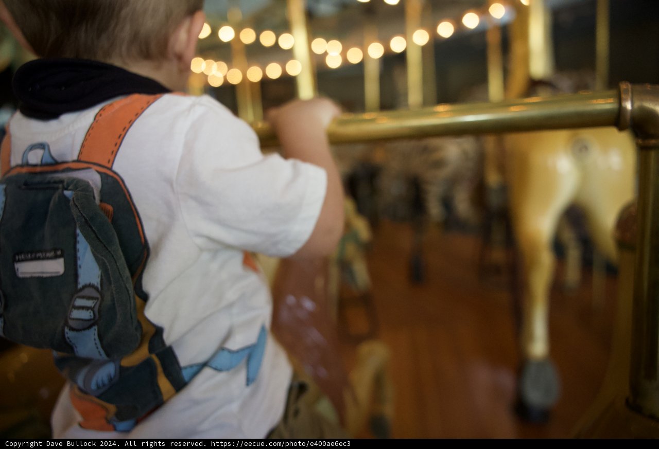 Joyful Rounds: A Carousel Ride at Tilden Park