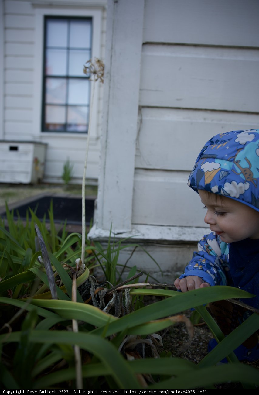 Curiosity in the Heart of Nature