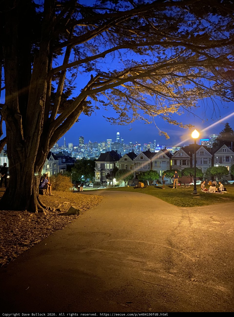 Serene Nature and Urban Landscape