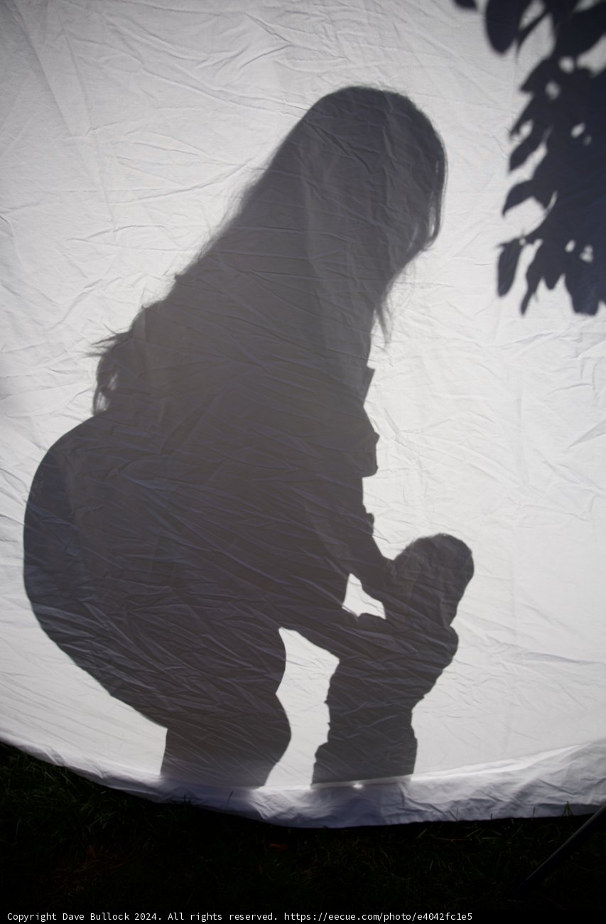 Leland's Arrival: A Silhouette of Love