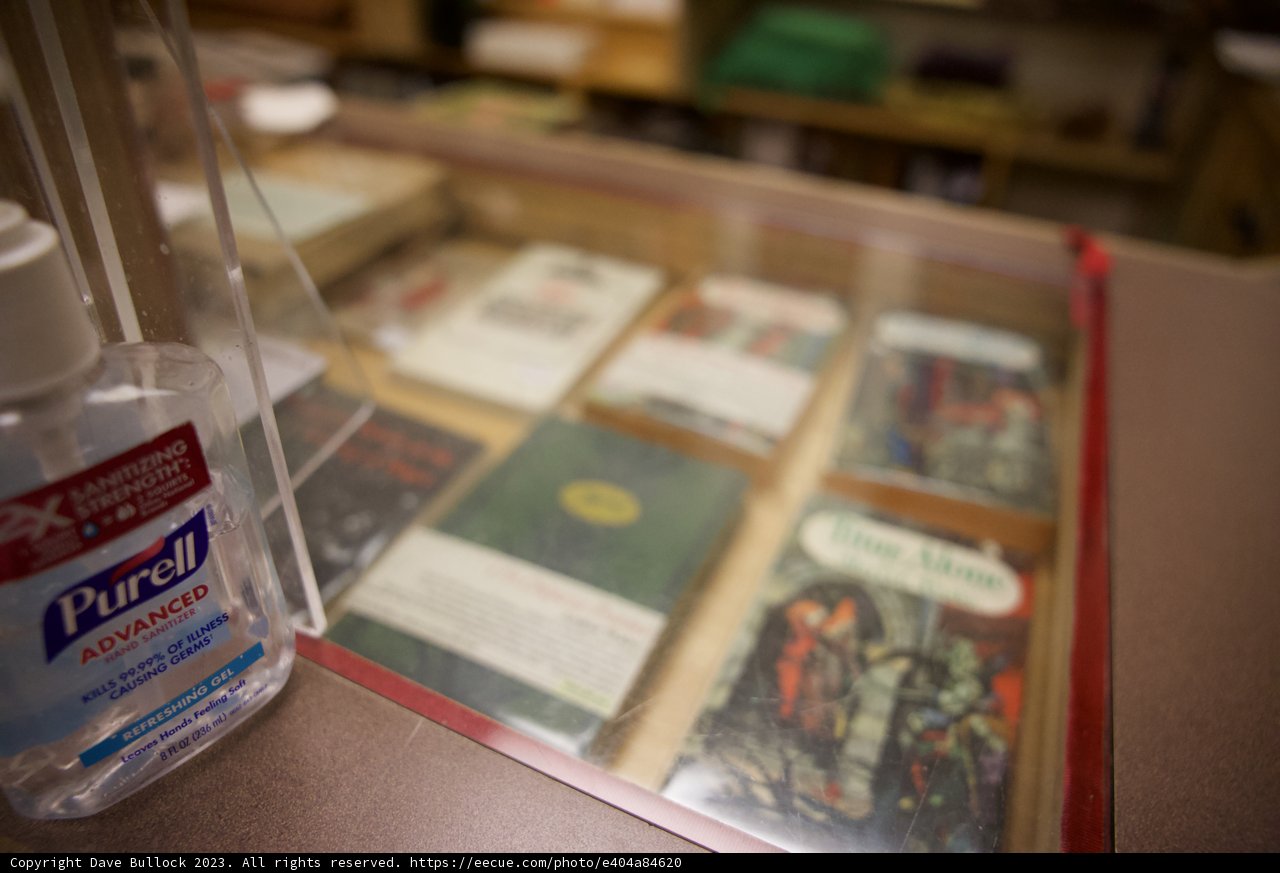 Skyela's Book Haven in Japan Town, 2023