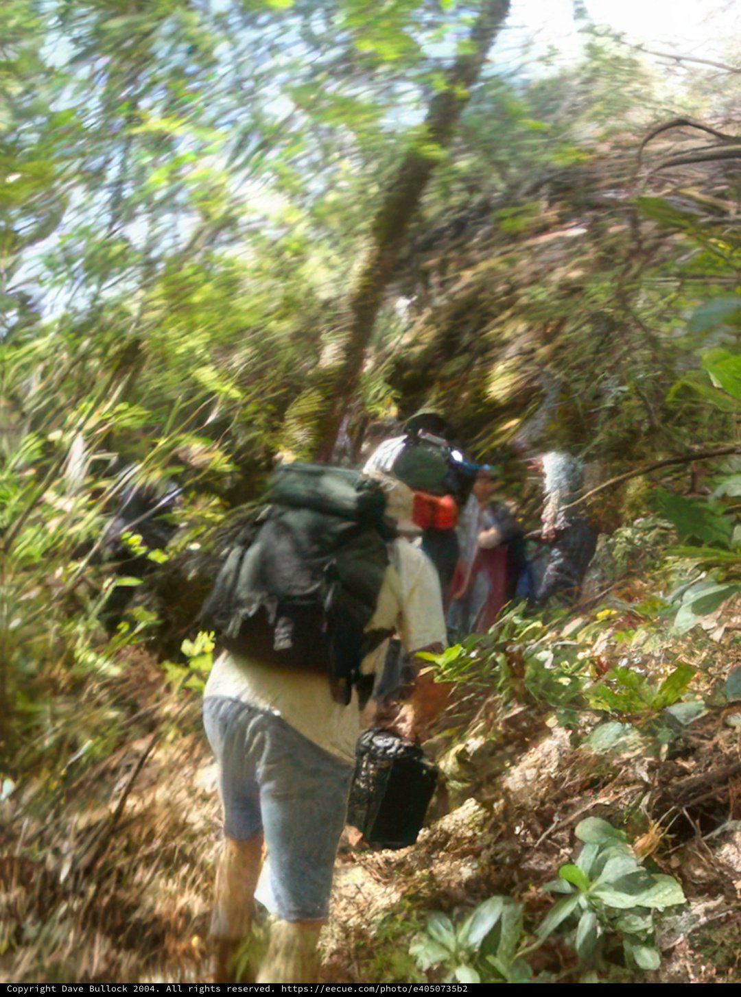 Summit Seekers