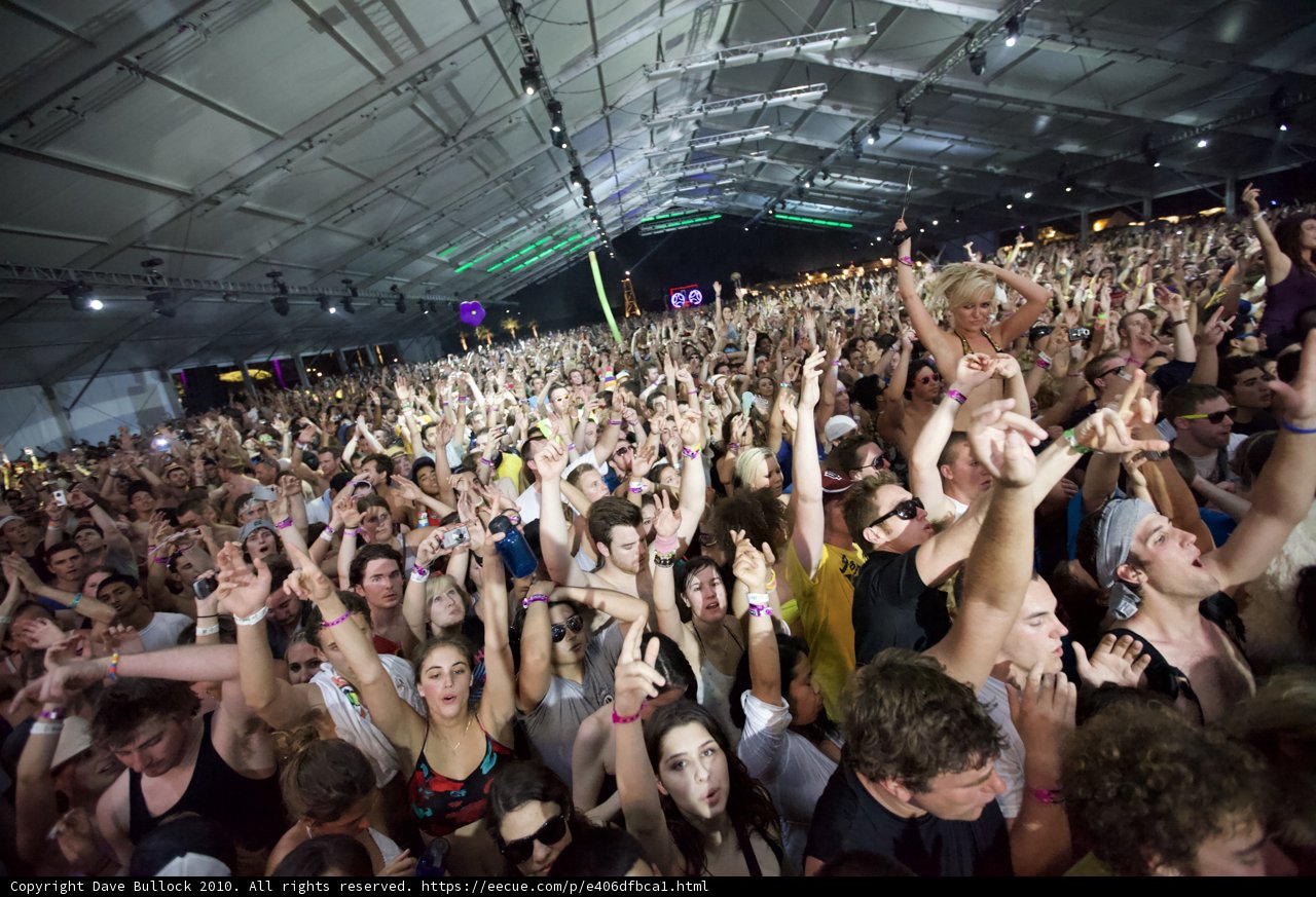 Coachella Crowd Goes Wild