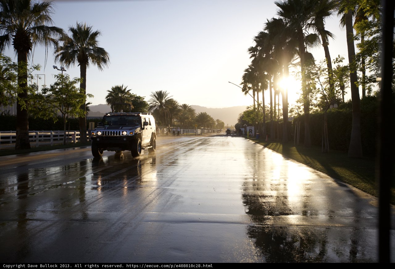 Summer Drive with Palm Trees