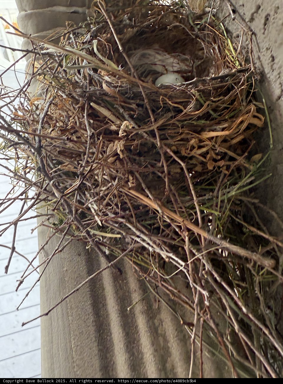 Nature's Cradle