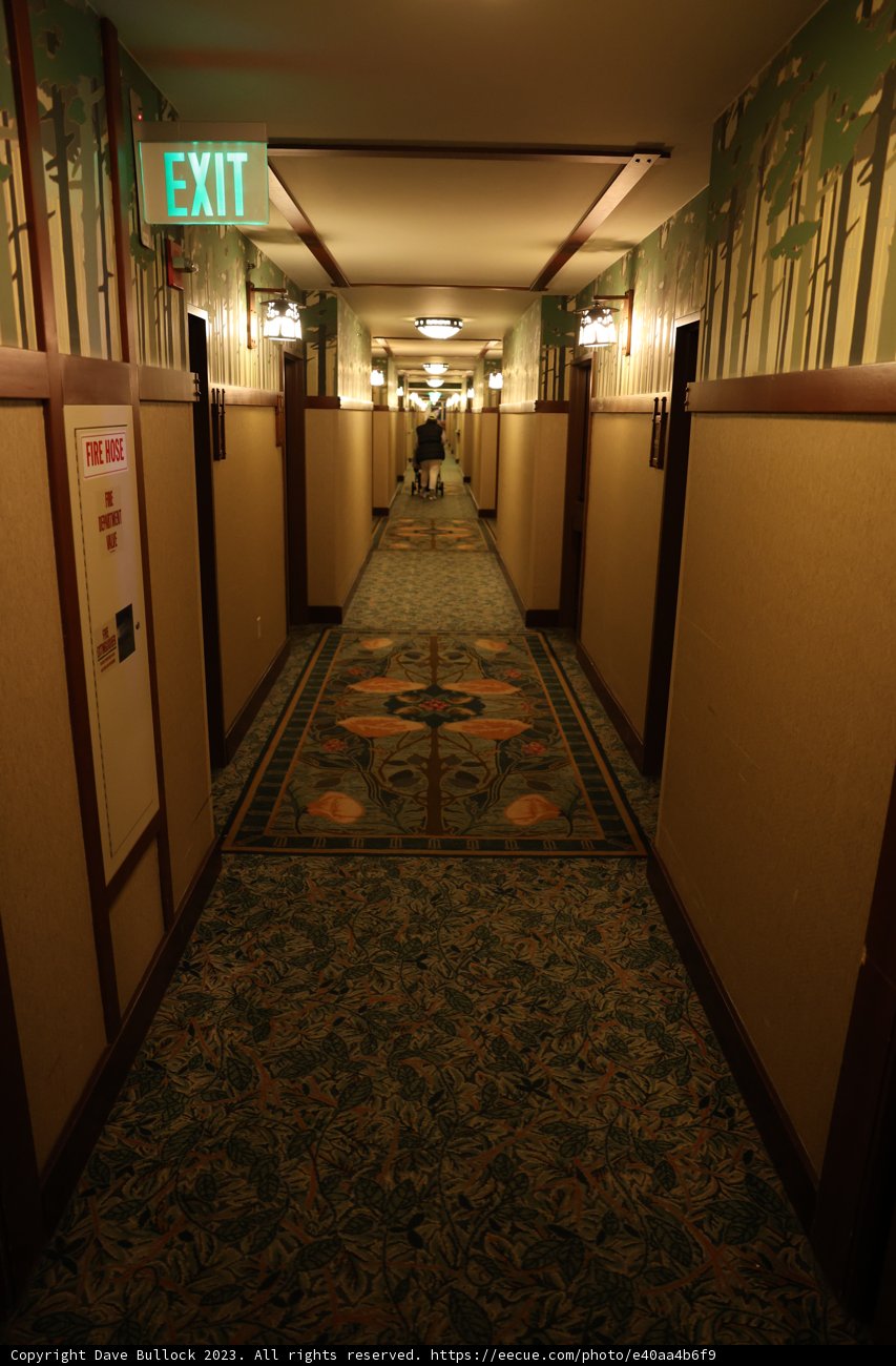 Journey through the Hallway