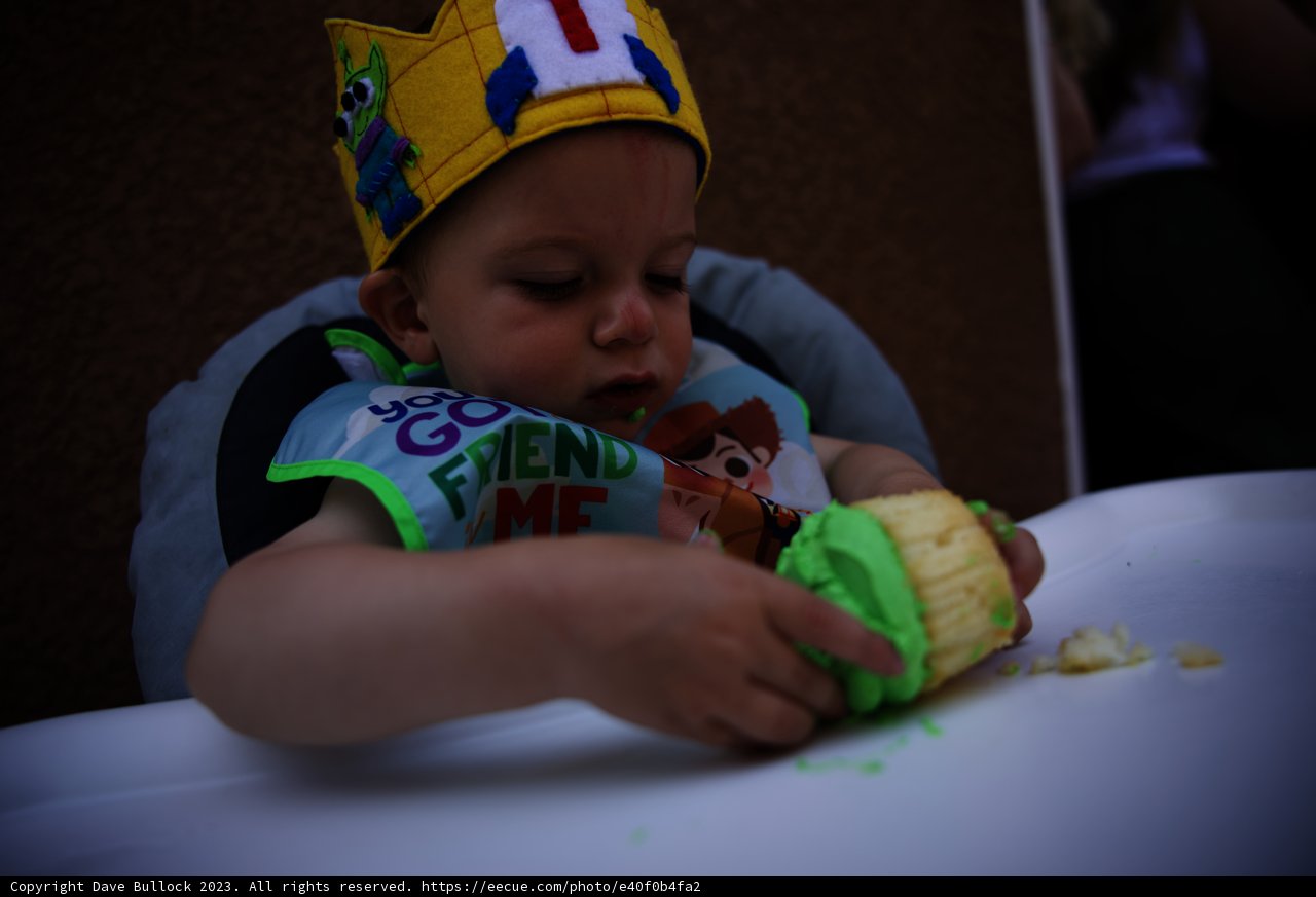 A Royal Celebration: Wesley's First Birthday Bash