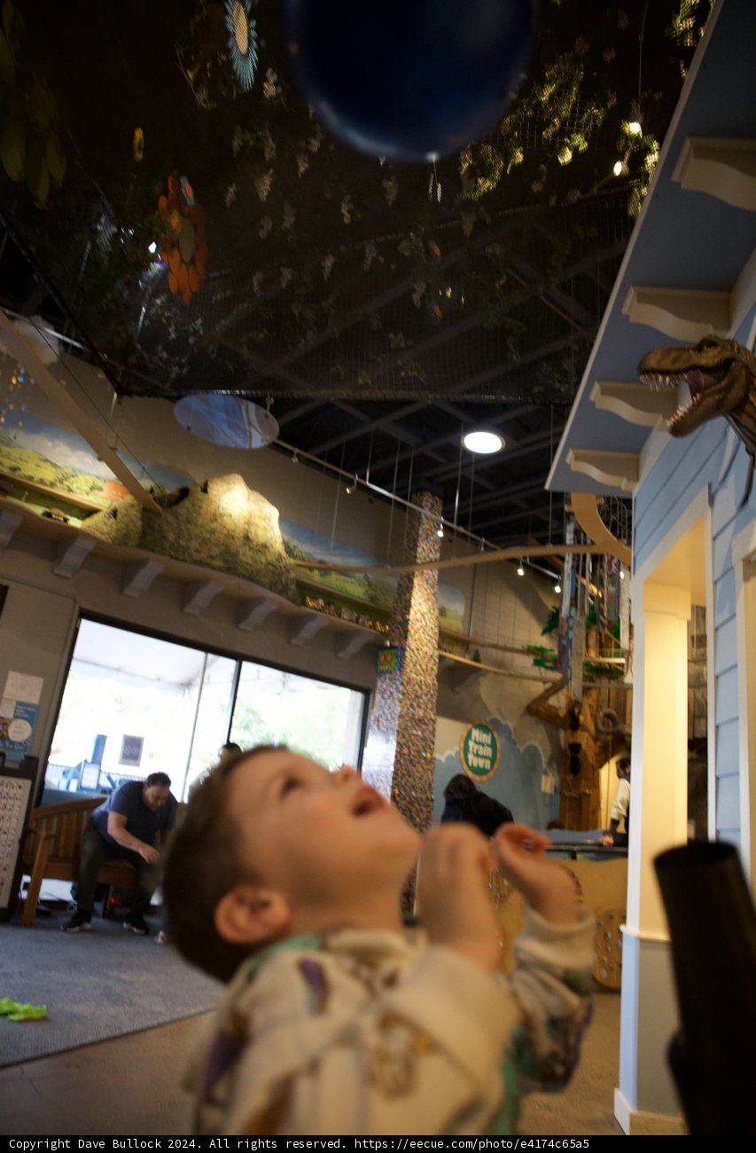 Exploring Wonder