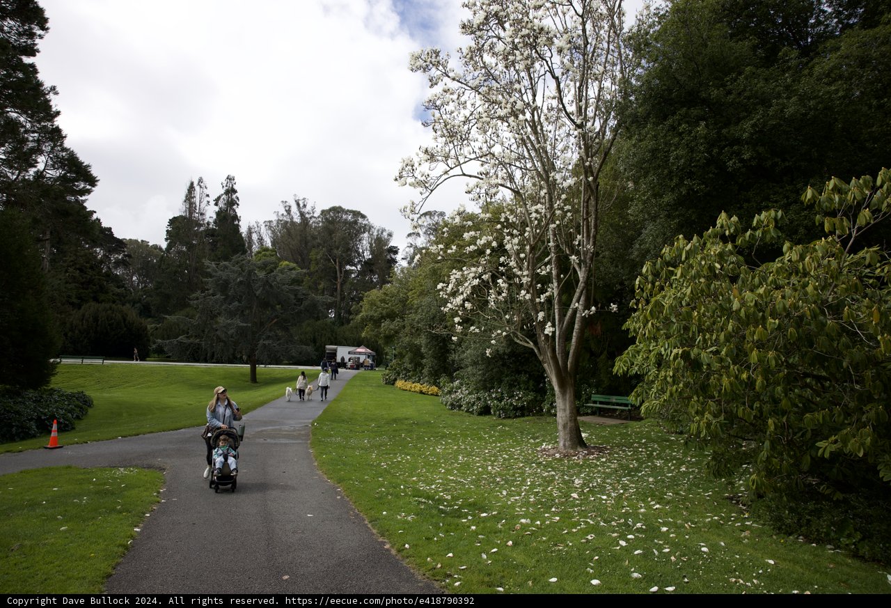 Scooting Around Paradise