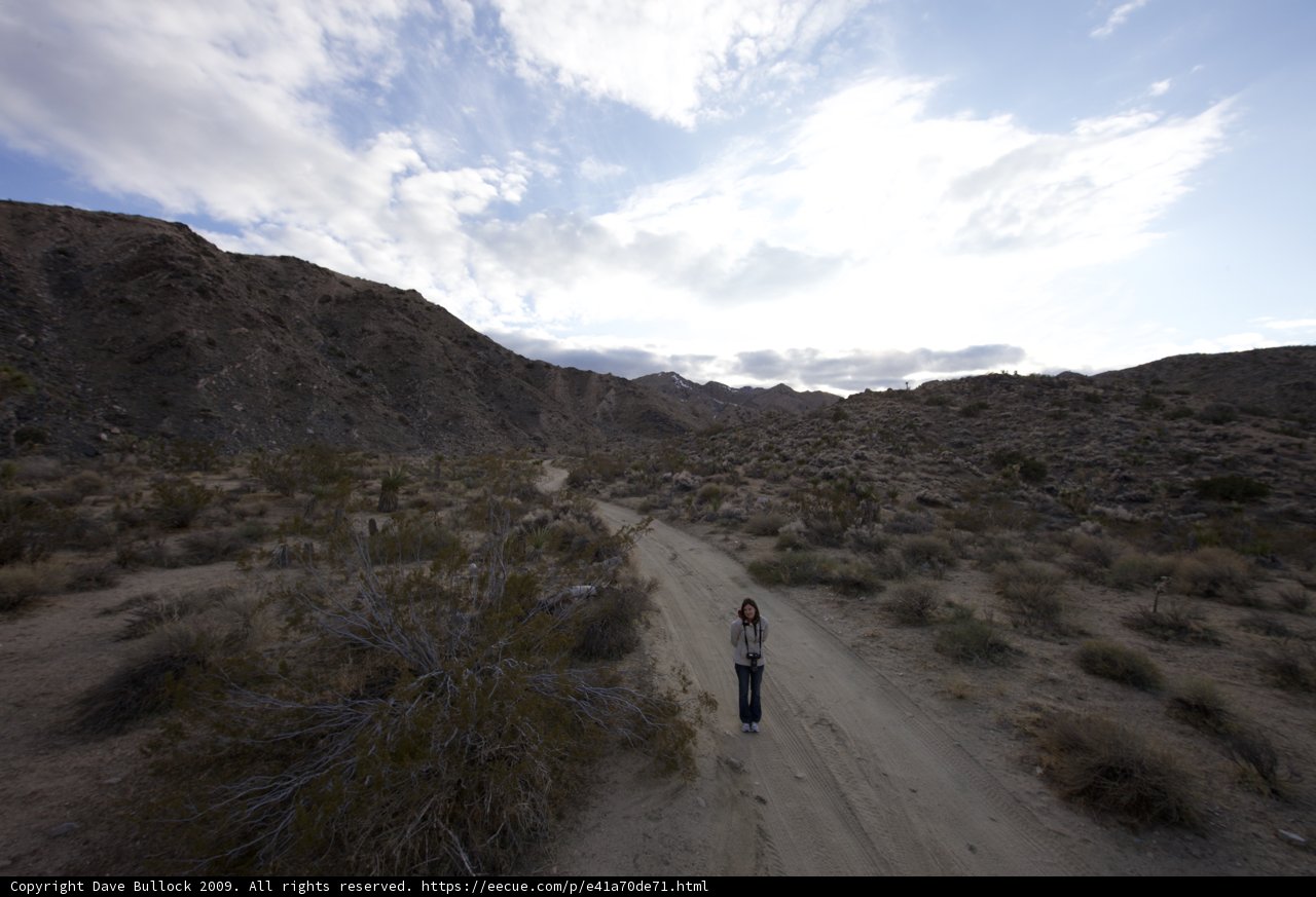 The Wilderness' Gravel Road