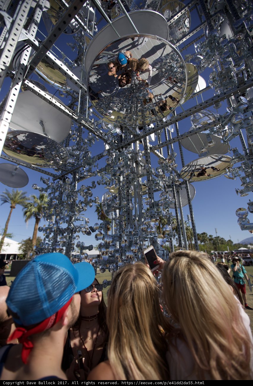 Capturing the Moment: Sculpture Enthusiasts at Coachella