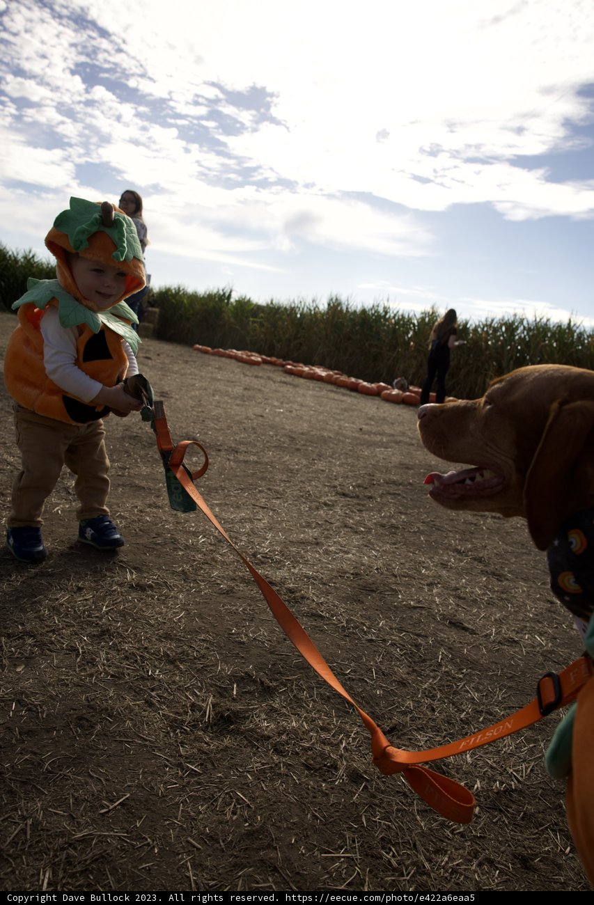 Wesley's Day Out With His Furry Friend!