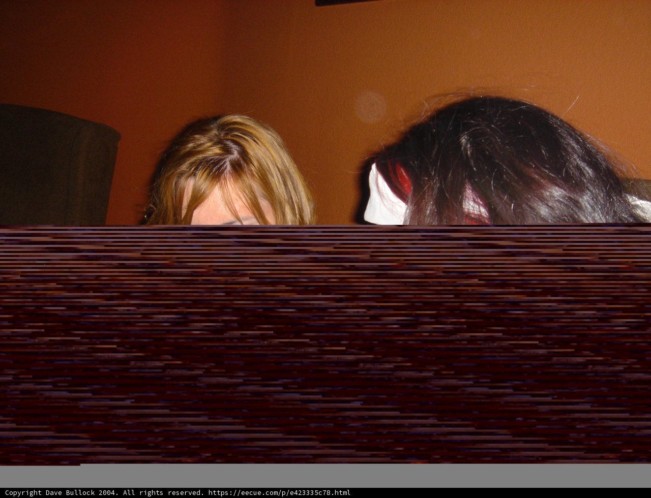 Women Analyzing Computer Data