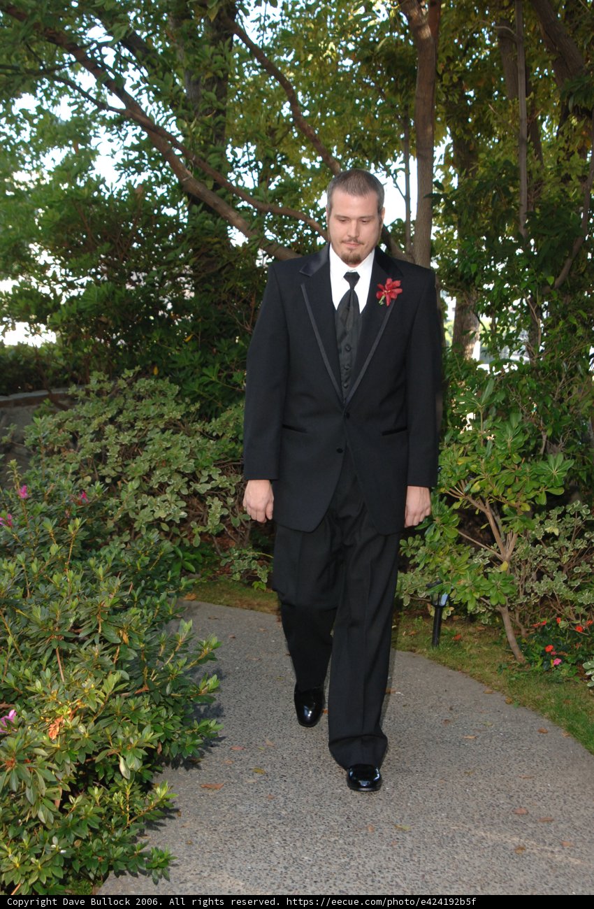 A Sharp Dressed Man in the Park