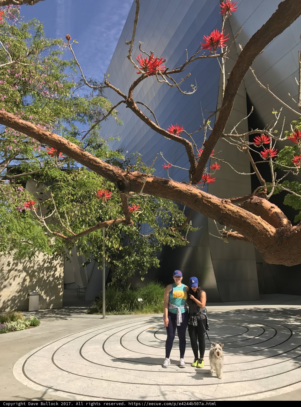 A Walk in the Garden