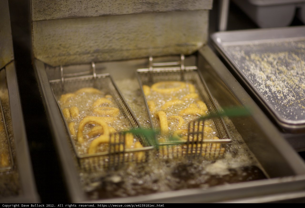 Fryer Delight