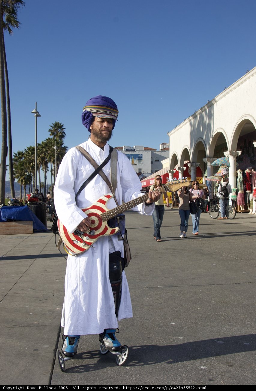The Guitarist in the White Robe