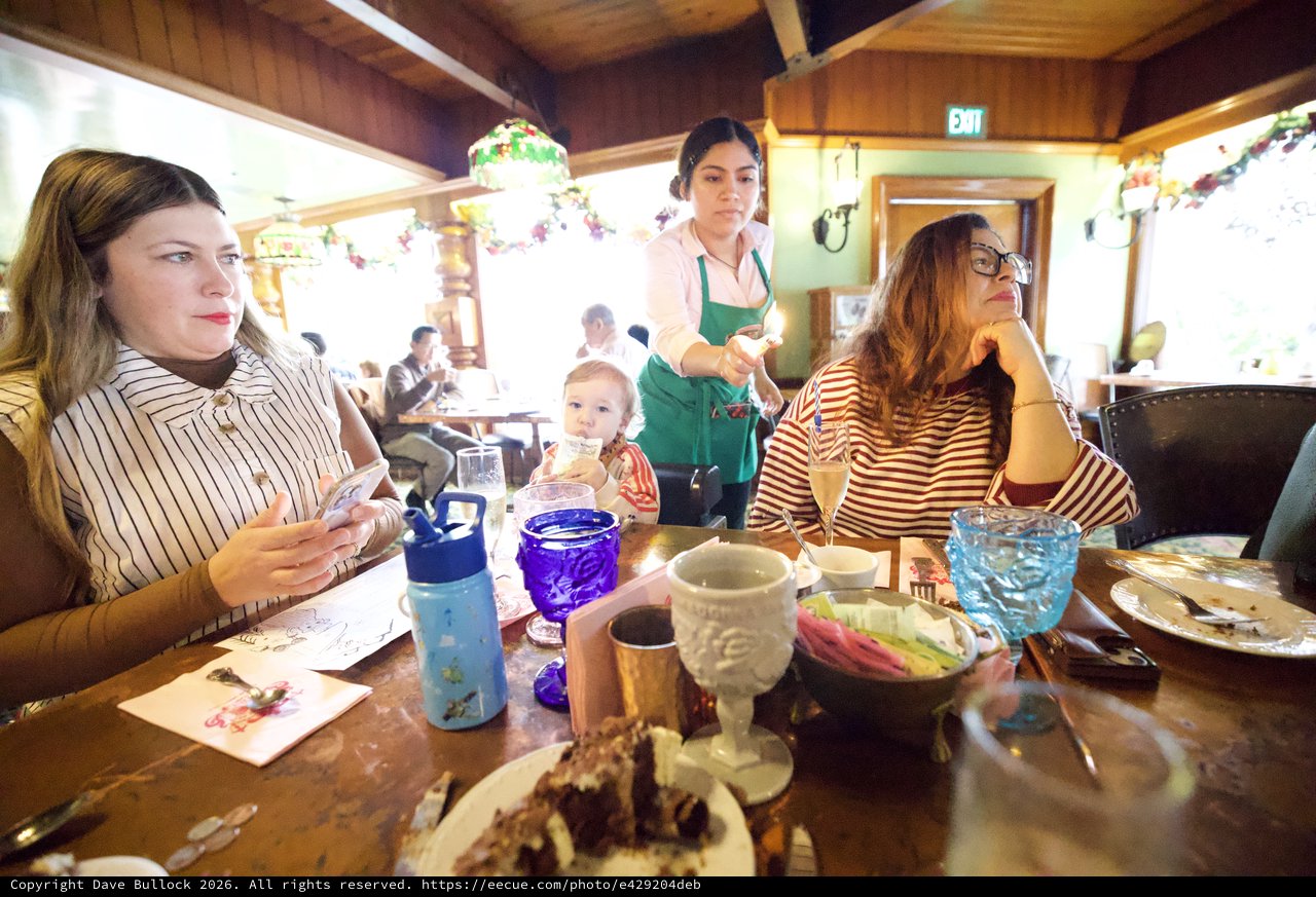 Family Dining Experience at Festive Restaurant
