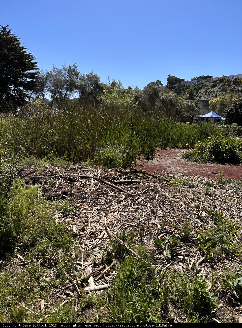 The Lone Fire Hydrant in the Wilderness