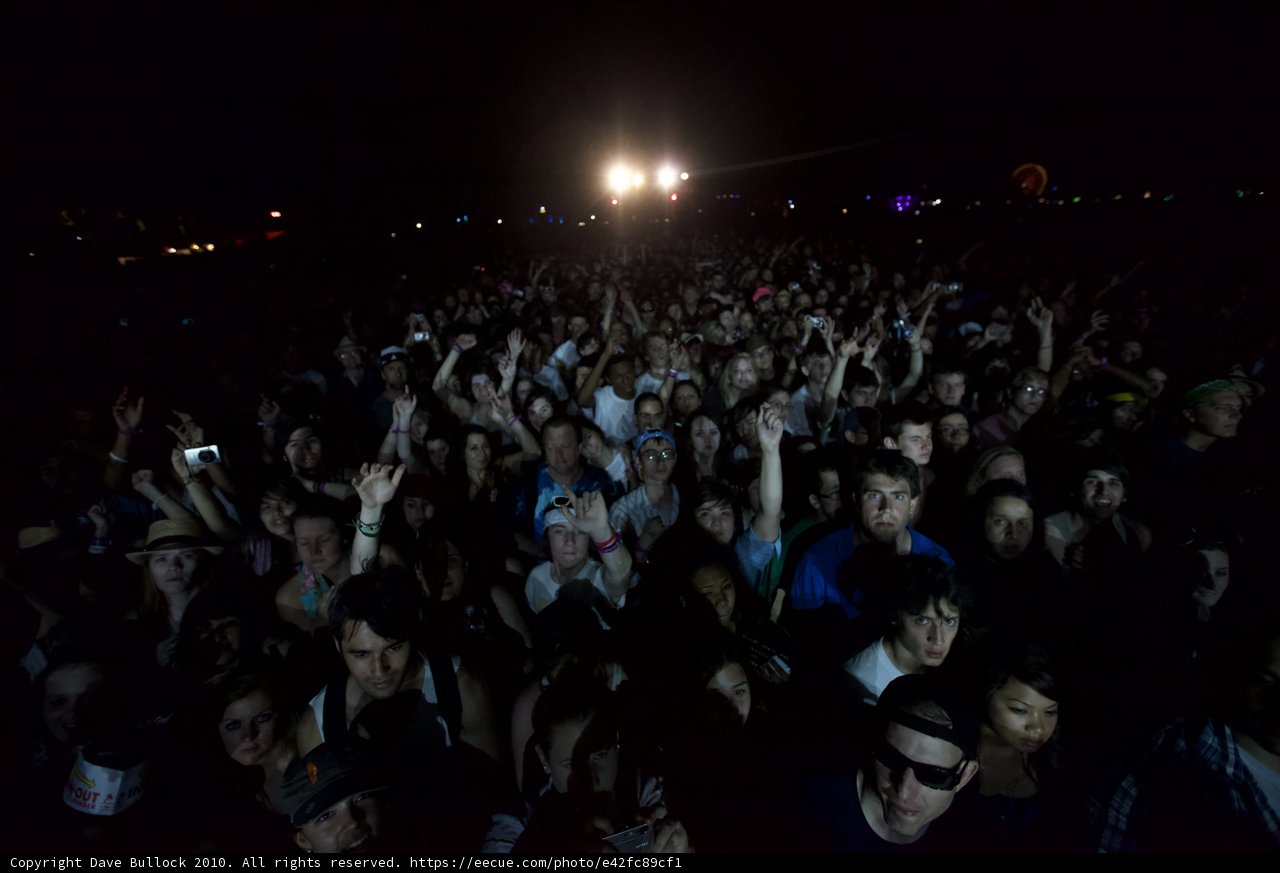 Ecstatic Crowd at 2010 Cochella Concert