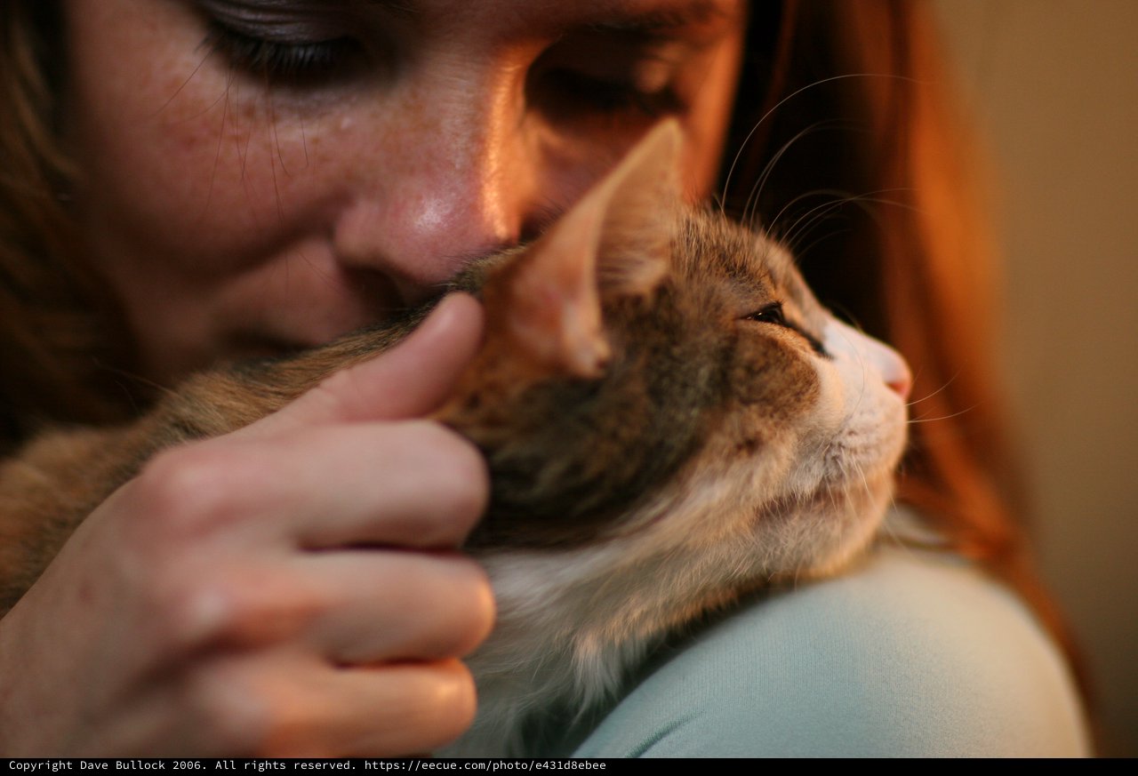 Tender Moment: Woman Nuzzles Beloved Tabby Cat
