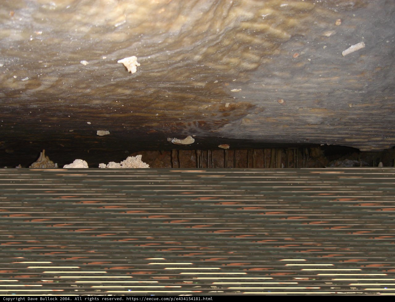 Leaky Roof