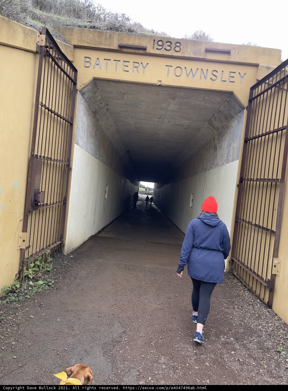 A Walk through the Tunnel with My Fur Companion