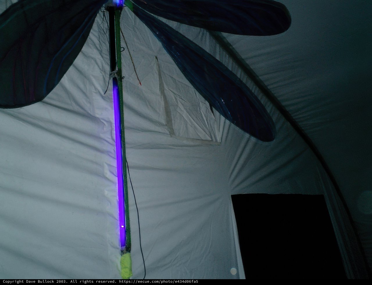 Illuminated Dragonfly in the Night