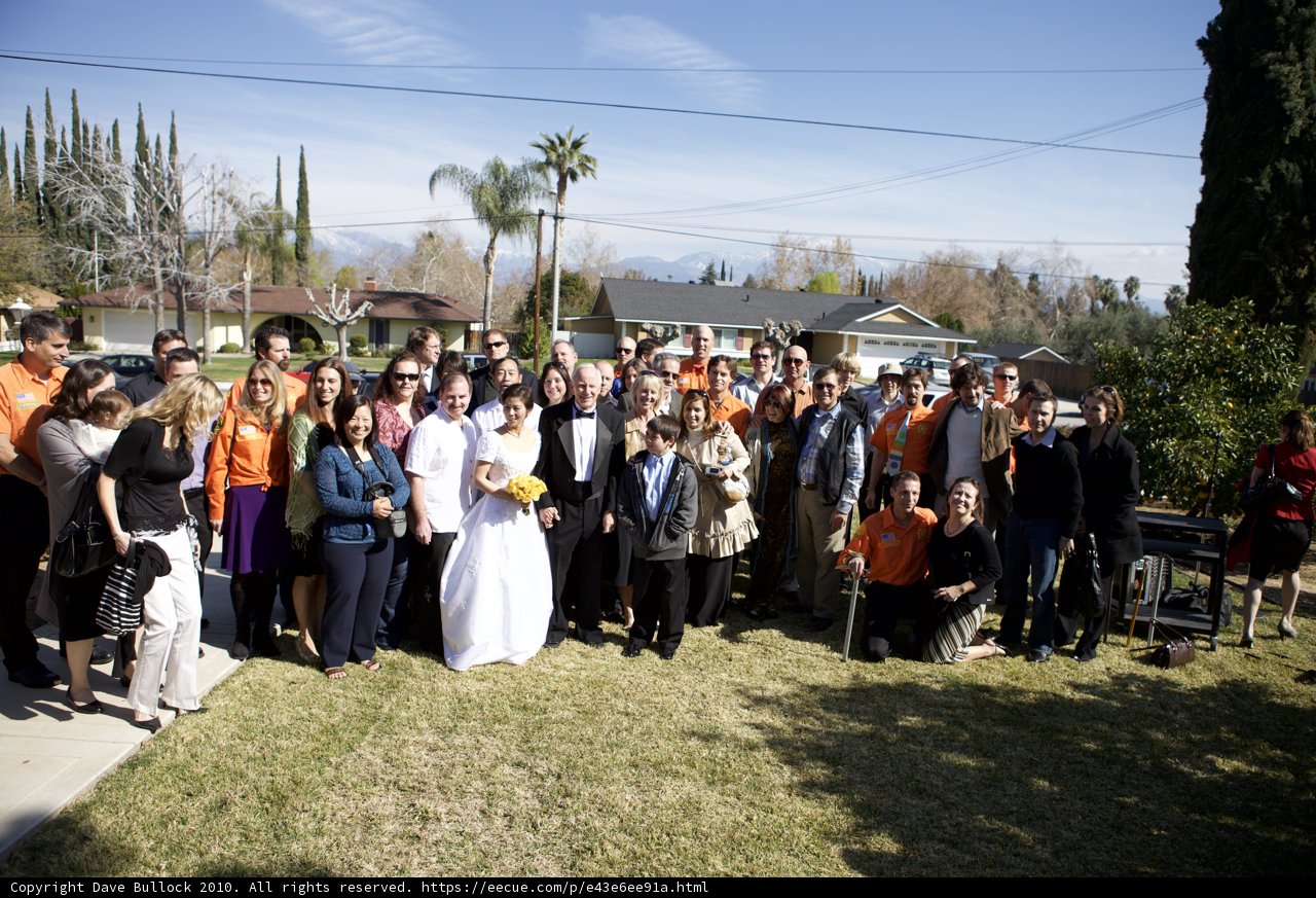 Wedding Party Posing in Front of Palm Tree House
