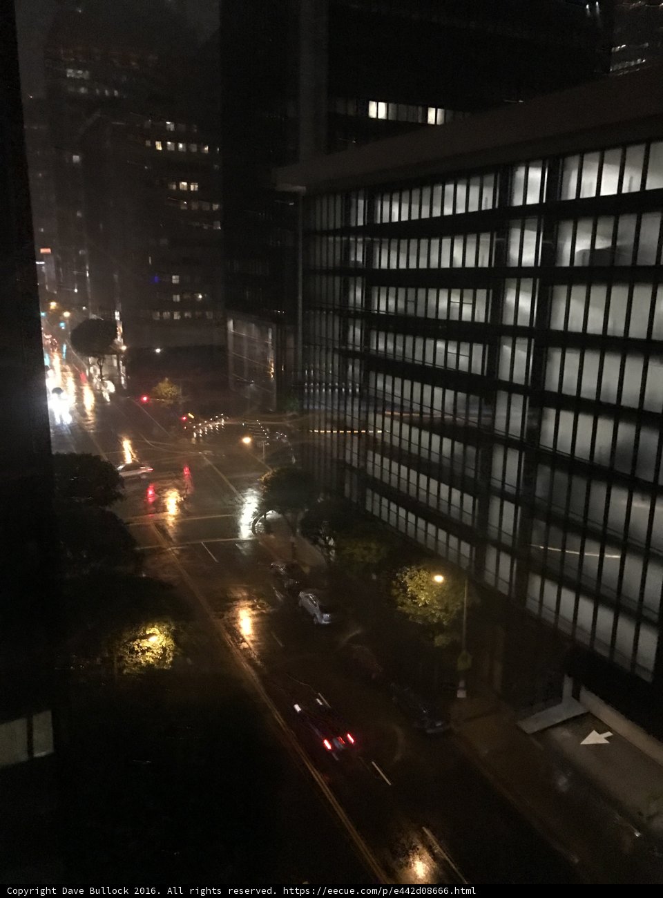 Metropolis Nightscape