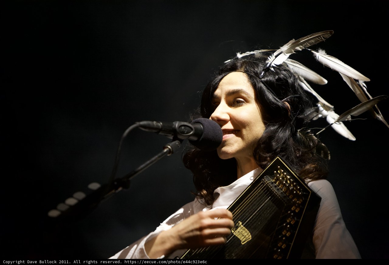 Feathered Musician Fingers the Accordion