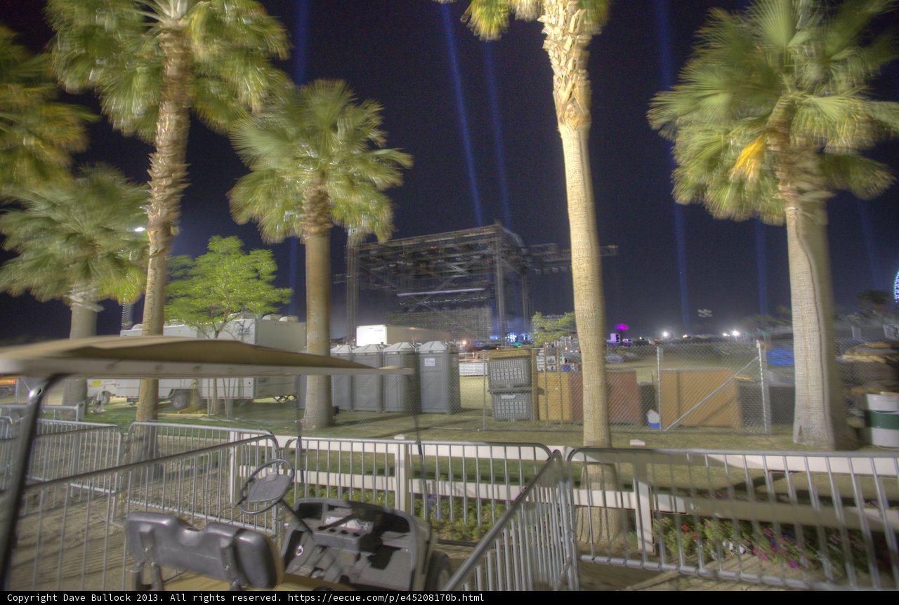 Nighttime Serenity at the Palm Tree Park