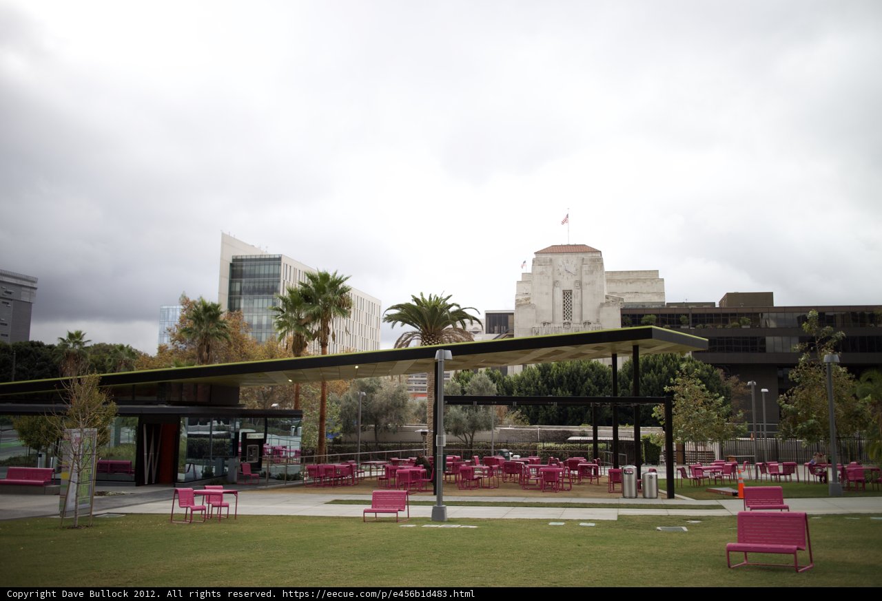 Pink Paradise in the Urban Jungle