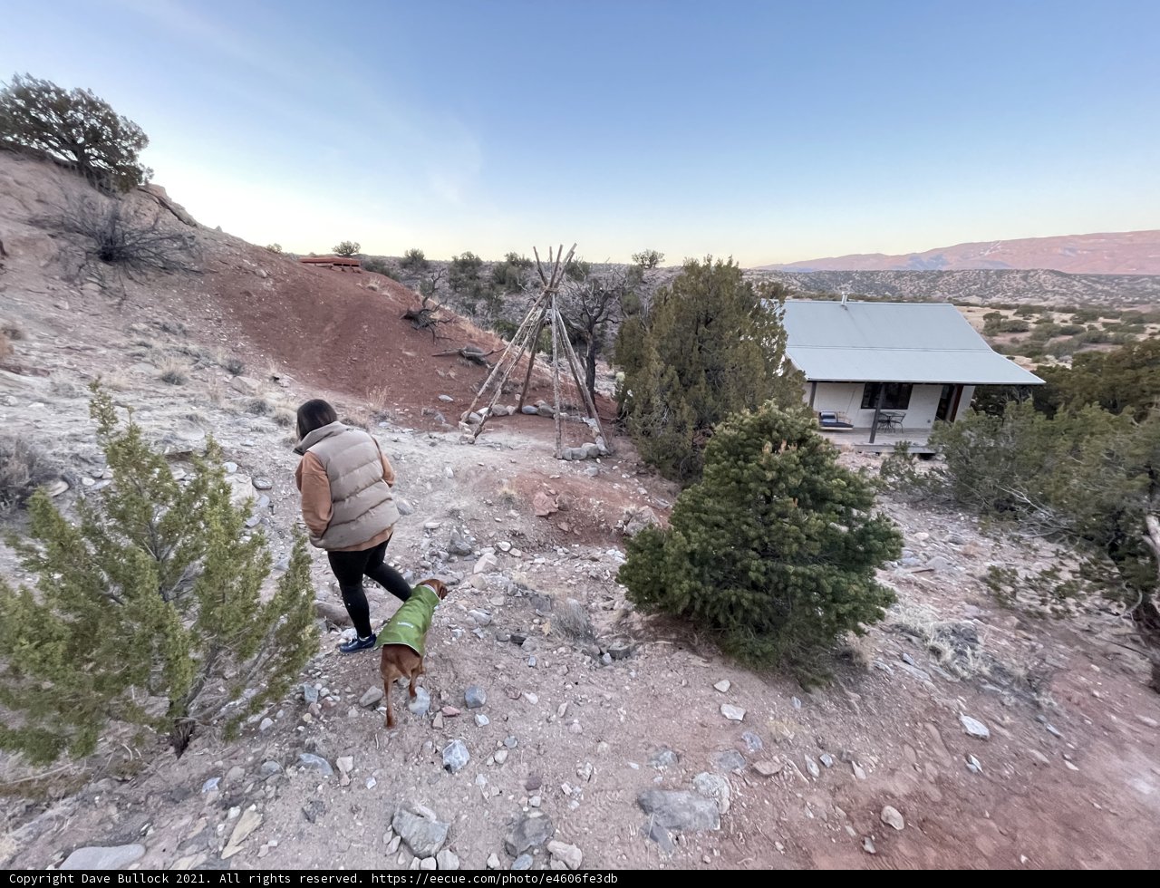 A Morning Hike with Man's Best Friend
