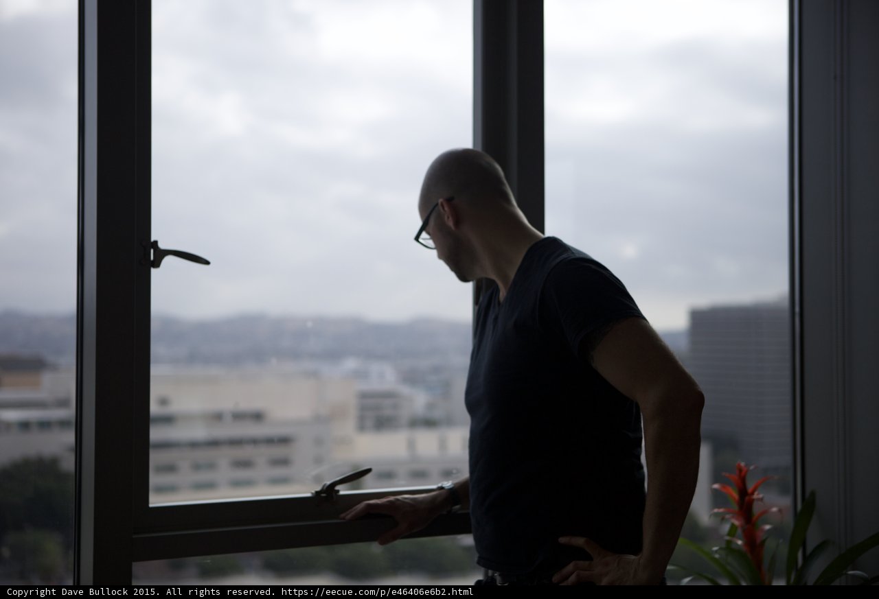 Profile at the Window