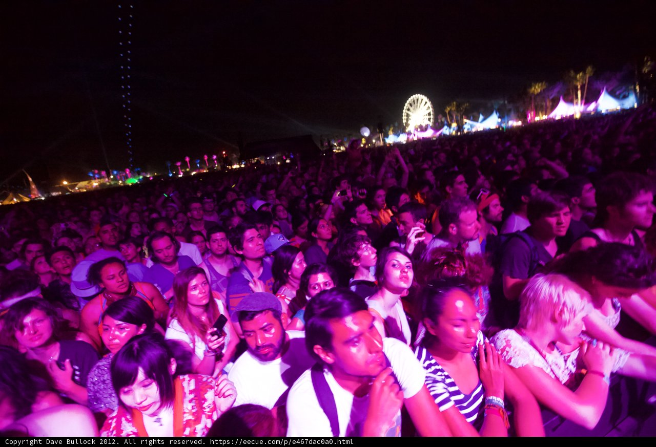 Nightlife Under the Stars