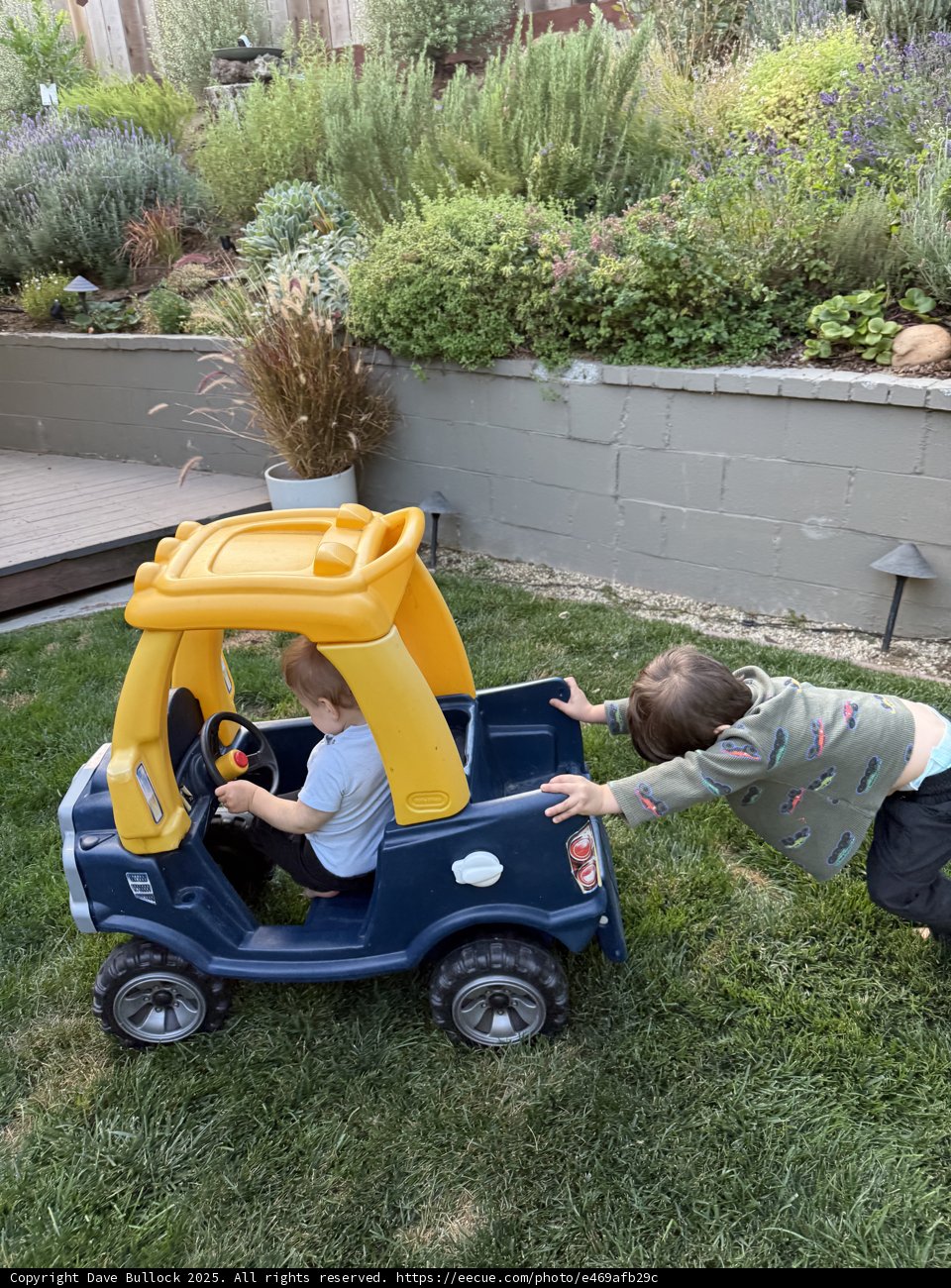 Backyard Adventures